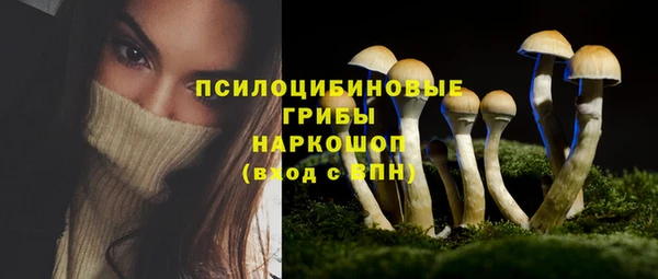 ALPHA PVP Армянск